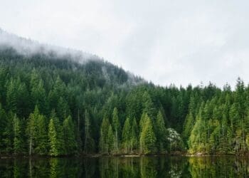 Energy in Canada, First Nations land