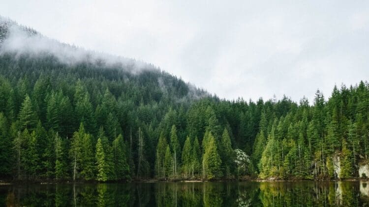 TC Energy's landmark deal with Blueberry River First Nations marks a turning point in how Canada builds its energy future 1 Energy in Canada, First Nations land