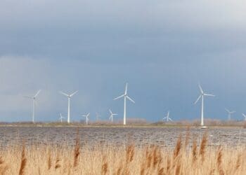 Wind