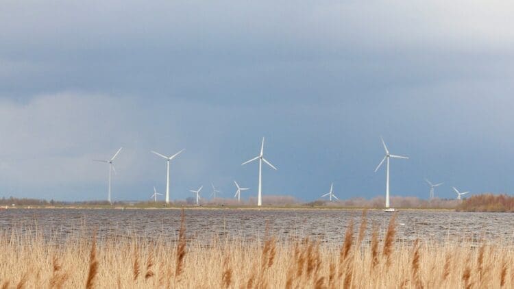 Zeevonk offshore wind project selects a Dutch cable maker whose low-carbon design helped secure its place in the tender 1 Wind