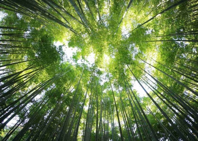 Barocal raised $10 million to replace greenhouse-gas refrigerants with pressure-sensitive plastic crystals 1 kazuend 19SC2oaVZW0 unsplash 1