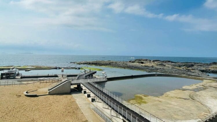 MIT, desalination