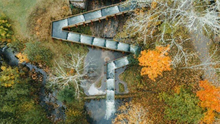 Vattenfall deployed an AI system inside a Swedish fish ladder that now tracks individual salmon for disease, size, and injuries in real time 1 Fish