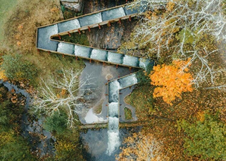 Vattenfall deployed an AI system inside a Swedish fish ladder that now tracks individual salmon for disease, size, and injuries in real time 1 Fish