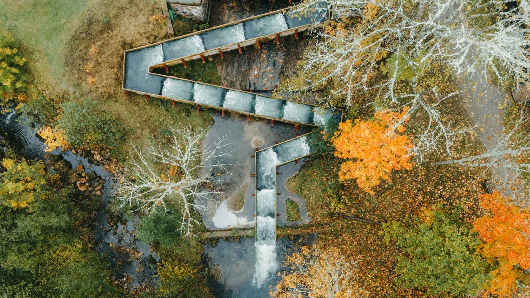 Vattenfall deployed an AI system inside a Swedish fish ladder that now tracks individual salmon for disease, size, and injuries in real time 1 Fish