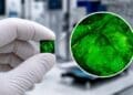 Scientists wove paper-thin fibers that turn the sound of your voice into electricity for hearing aids 5 Edited, representative image