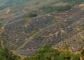 13. INTERNAL India quietly assembled 200 GW of solar projects in its pipeline and now its once—distant 2030 clean energy target is coming into focus