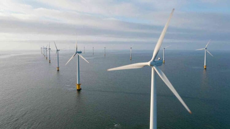 14. INTERNAL Offshore wind farms off the US East Coast cast shadows stretching miles across the ocean yet their biggest blind spot sits just one turbine away