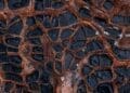 65. URGENT Hundreds of thousands of forgotten oil wells are silently leaking methane across America and almost nobody knows where they are