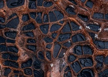 65. URGENT Hundreds of thousands of forgotten oil wells are silently leaking methane across America and almost nobody knows where they are