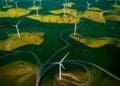 birds flying over wind farm