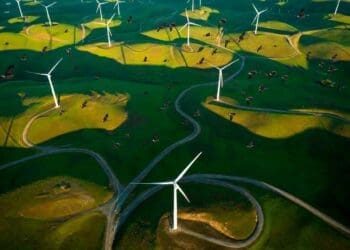 This open-field wind farm 'trained' its turbines to stop when they detect a bird and has saved more than 1,000 vultures in 13 years 41 birds flying over wind farm