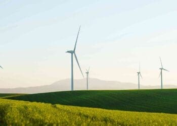 EDF and Saulteau First Nations collaborate