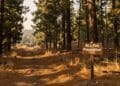 BLM implements fire prevention order for Or