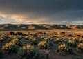 BLM opens public comment period for proposed DeLamar gold and silver mine on 6708 acres in Owyhee County Idaho