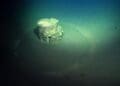 Credits: Schmidt Ocean Institute