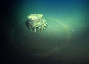 Credits: Schmidt Ocean Institute