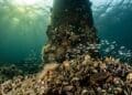 Offshore foundations bringing back