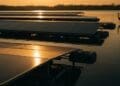 Solar panels were laid across a quiet reservoir, and the world beneath the water slowly began to do something no one had planned for 4 Solar panels quiet reservoir
