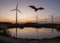 Wind turbines built to cool the planet are driving bats away from the water they need to survive a warming world 3 AI-made