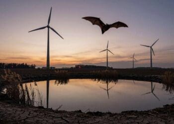 Wind turbines built to cool the planet are driving bats away from the water they need to survive a warming world 42 AI-made
