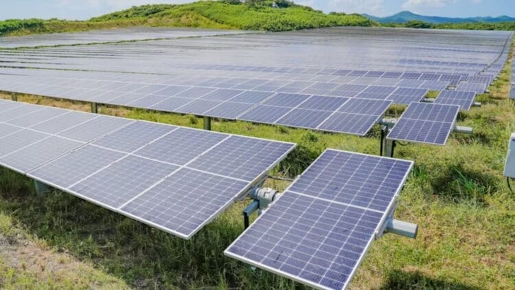 MN8 260 MW solar capacity supply