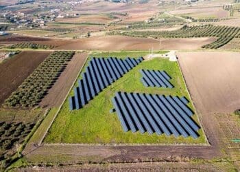 solar panels installed over crops field