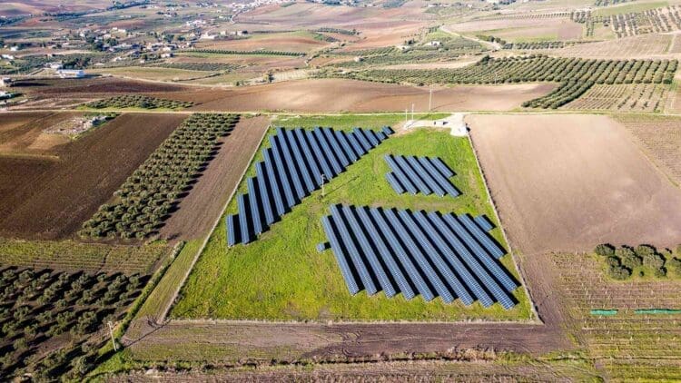 solar panels installed over crops field