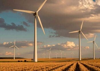 Scientists mapped every onshore wind turbine on Earth and discovered the global wind boom was much bigger than anyone realized 42 Wind turbines