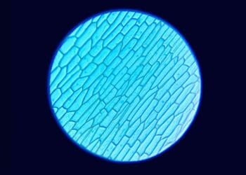 Tiny crystal seeds planted at the base of a solar cell quietly pushed large-area perovskite efficiency past a milestone researchers once thought was out of reach 38 11. INTERNAL Tiny crystal seeds planted at the base of a solar cell quietly pushed large—area perovskite efficiency past a milestone researchers once thought was out of reach