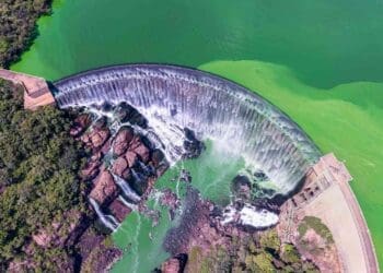 Amazon hydroelectric dam create green islands