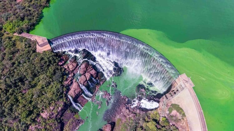 Amazon hydroelectric dam create green islands