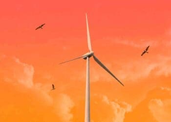 birds flying near a wind turbine