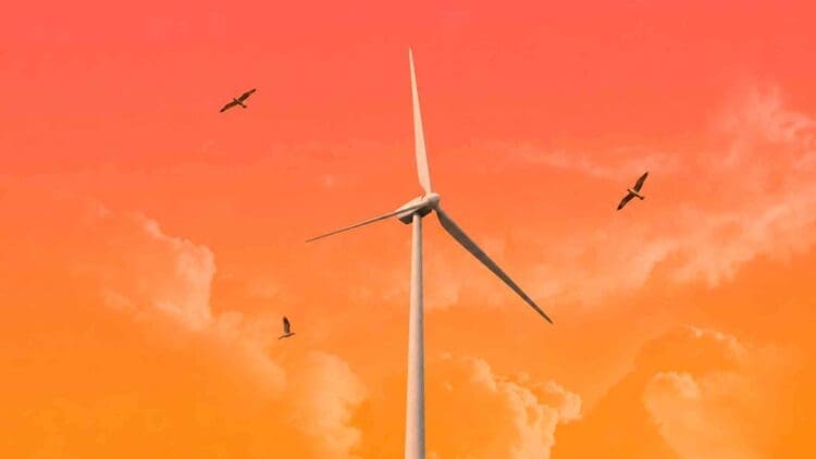 Birds instinctively avoid three ‘warning colors.’ Engineers are now putting them on wind turbines to save up to 1 million birds a year 1 birds flying near a wind turbine