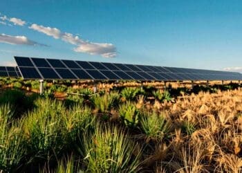 Colorado's solar panels are moonlighting as drought shields for the grasslands beneath them 37 14. INTERNAL Colorados solar panels are moonlighting as drought shields for the grasslands beneath them