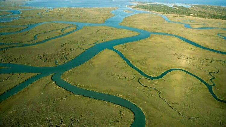 hydrogen produced at coastal wetlands with solar