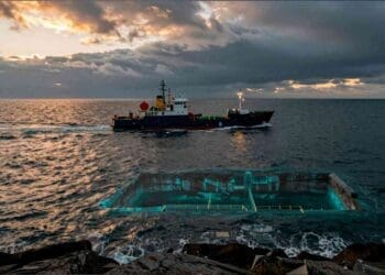EnergyPathways receives Gas Storage Licence for MESH project, launches East Irish Sea survey programme 25 Energy