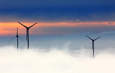 How The 7 Types Of Renewable Energy Can Benefit The Environment