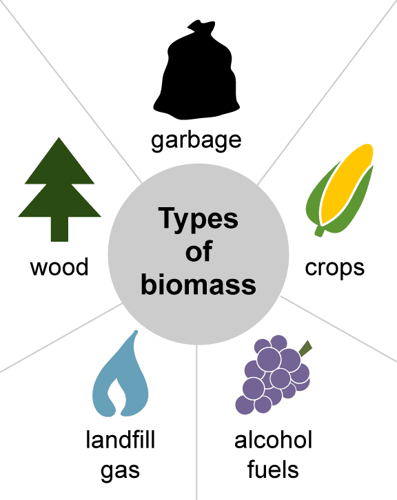 Illustrations Adapted from The National Energy Education Project