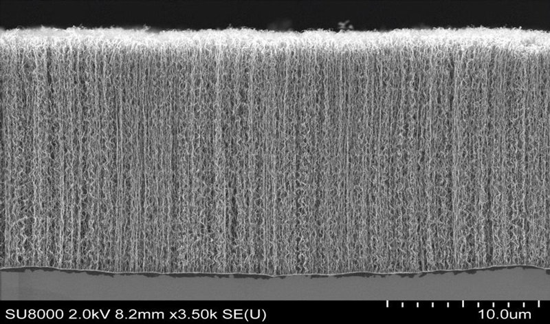 Figure 2: Anode with Vertically Aligned Carbon Nanotubes (VACNTs). Source: Zeta Energy, 2022