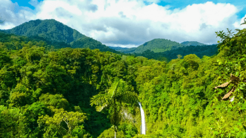 Costa Rica: A Successful Model of Energy Decarbonization