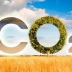 Carbon dioxide emissions decline